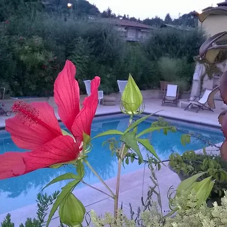 Bed & Breakfast Posserle