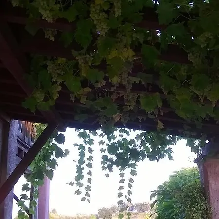 Bed & Breakfast Posserle Padenghe sul Garda