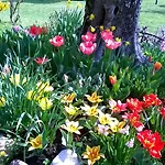Posserle Bed and breakfast